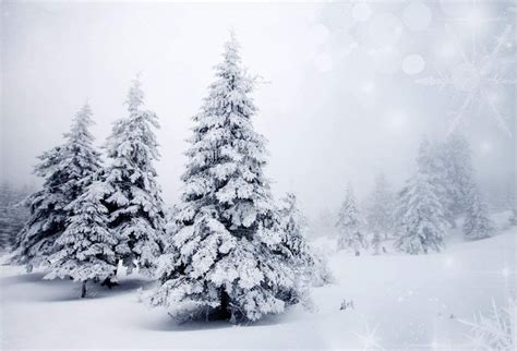 Laeacco Dreamy Winter Snowscape Backdrop 10x65ft Vinyl