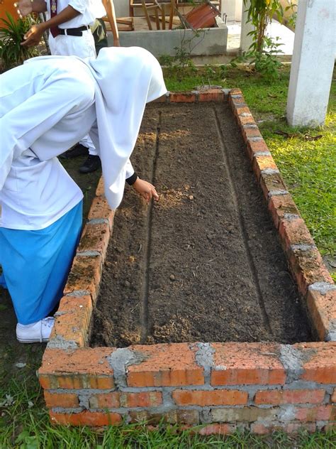 Pengenalan mpv & hsp psv #penerangan pppm asas seni reka. Sains Pertanian Buntong: PROJEK TINGKATAN 5: TANAMAN KAILAN