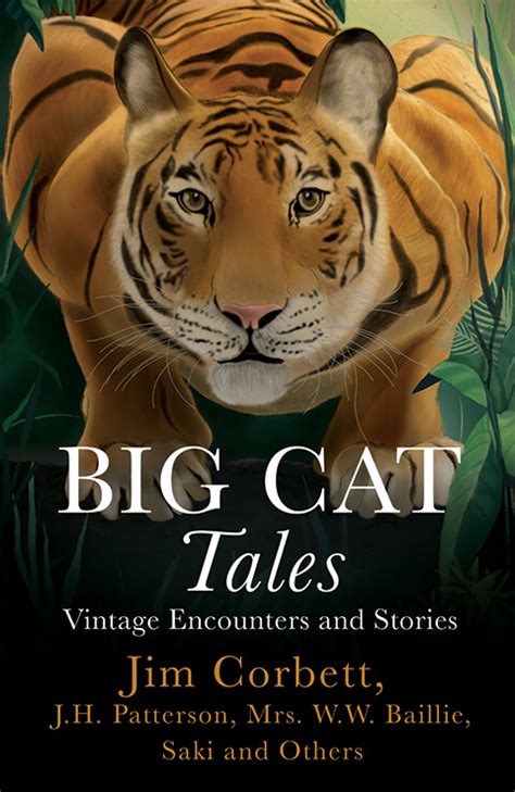 Big Cat Tales Speaking Tiger Books