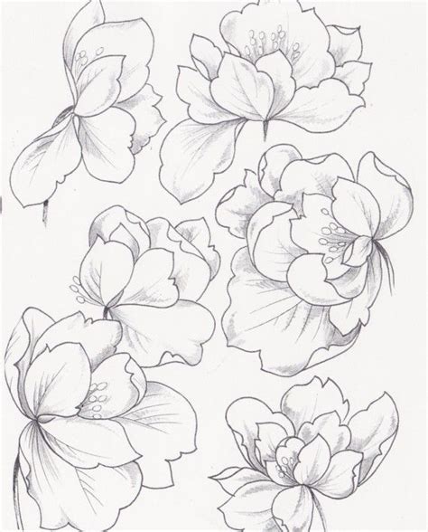 Magnolia Coloring Page at GetColorings.com | Free printable colorings