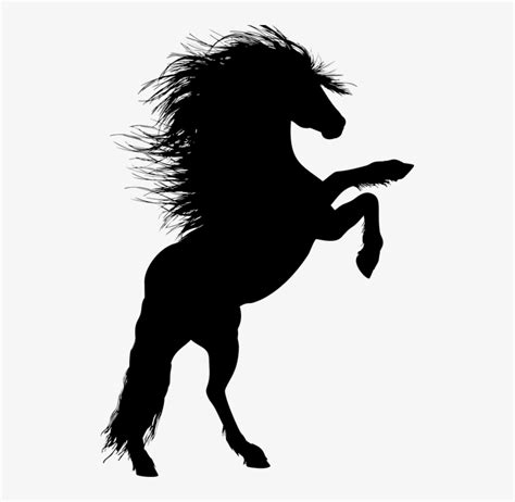 Animal Equine Rearing Horse Silhouette Ride Rearing Horse