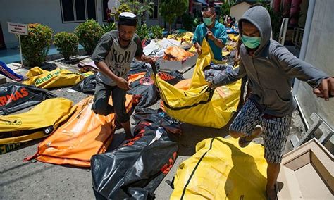 Indonesia Tsunami Toll Tops 800 Amid Search For Survivors