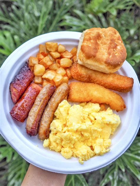 Inside Look at Discovery Cove: A Foodie’s Guide | Tasty Chomps: A Local