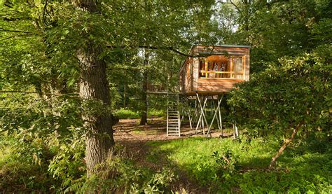 The Hidden Treehouse Resort Treehouse Hotel Tree House Building A Shed