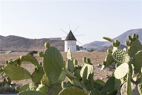 Ne passez pas à côté de ce bon plan voyage ! Cortijo los Malenos - Little Weekends