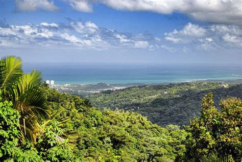 7 Must See Natural Wonders Of Puerto Rico Ecophiles