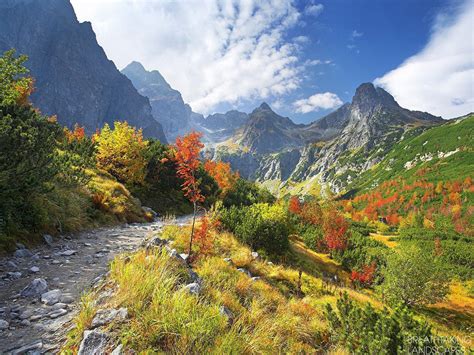 Beautiful Landscape Tatra Mountains