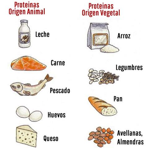 Los mariscos también son alimentos que tienen proteínas, aunque éstas son de menor valor biológico que la de las carnes y pescados. Proteínas, alimentos que son ricos en este nutriente - Global Nutricion