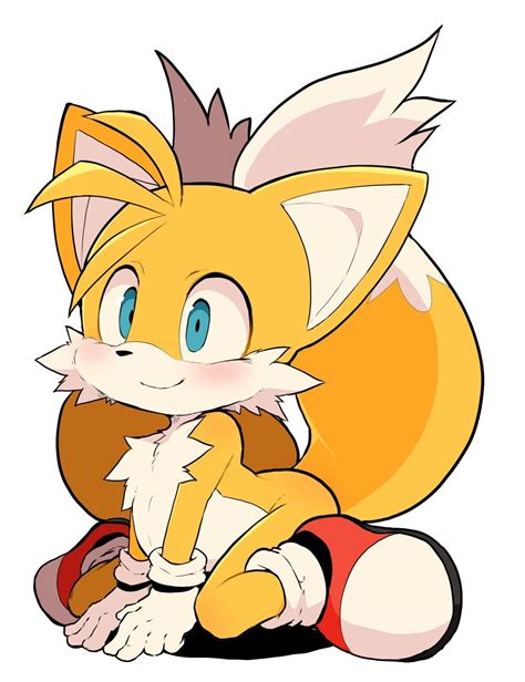 Tails Sonic The Hedgehog Shadow The Hedgehog Sonic Adventure