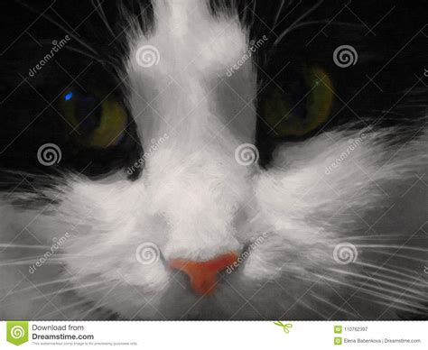 A Black And White Cute Brooding Cat With Big Green Eyes And A Pink Nose