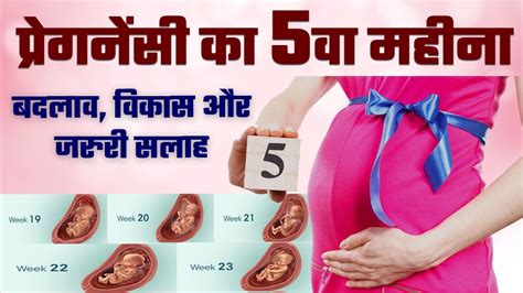 Pregnancy Ka Panchwa Mahina Kaisa Hota Hai Pregnancy Ka 5 Month In