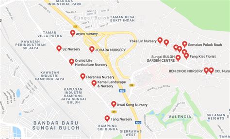 Maybe you would like to learn more about one of these? Nursery Plant Sungai Buloh - Banyak Pokok Bunga Cantik Dan ...