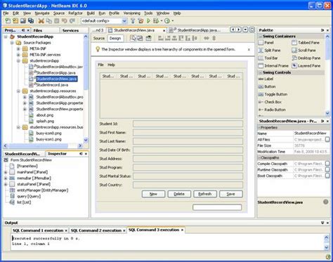 Step By Step Tutorial On How To Develop The Java Desktop Graphical User