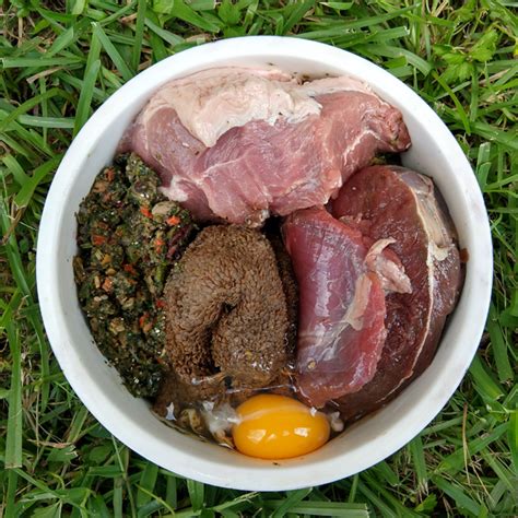 Homemade dog food with chicken chicken thighs, green beans, and oatmeal served with kibble. Custom Raw & Cooked Meal Plans for Puppies & Adult Dogs