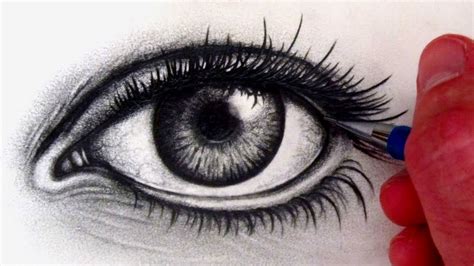 How To Draw Realistic Pencil Sketch Realistic Eye Rea Vrogue Co