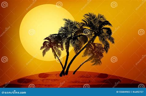 Palmeras En La Puesta Del Sol Ilustraci N Del Vector Ilustraci N De