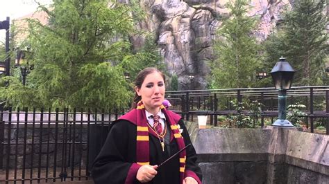 Tagged under harry potter and gryffindor house. Katie Bell calling all Gryffindors to Harry Potter Roller ...