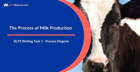 The Process Of Milk Production Ielts Writing Task 1