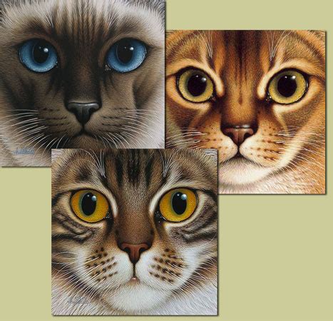 We are members of all breeds cat club (abcc), western province cat club (wpcc) and our cattery is registered with the southern africa cat council (sacc) and world cat federation (wcf) since 2015. NINE LIVES SUITE-2 SIAMESE/ABYSSINIAN/MAINE COON by Braldt ...