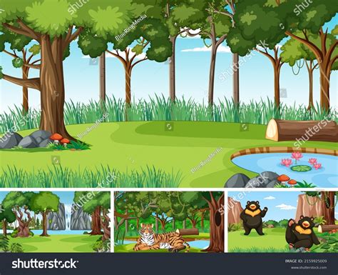 Different Forest Scenes Wild Animals Illustration Stock Vector Royalty