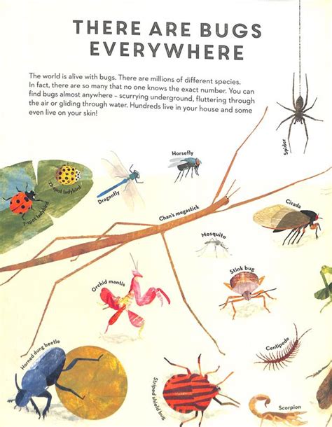 There Are Bugs Everywhere Lily Murray 9781787415003 Blackwells