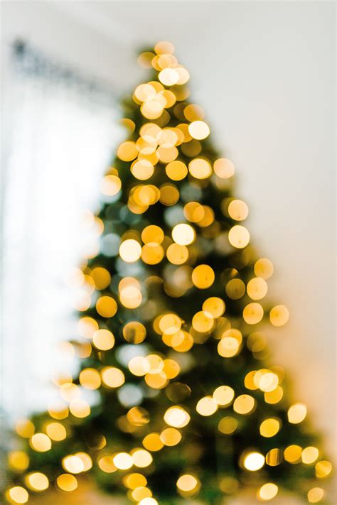 High Quality Blurred Christmas Background Chrismastur