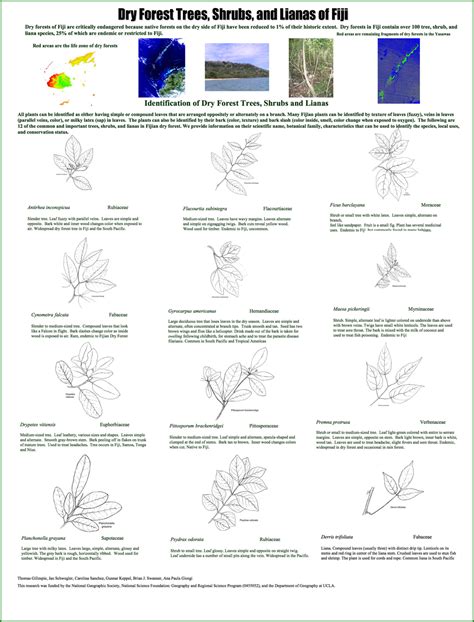 Tropical Dry Forests Of The Pacific Fiji Species Poster