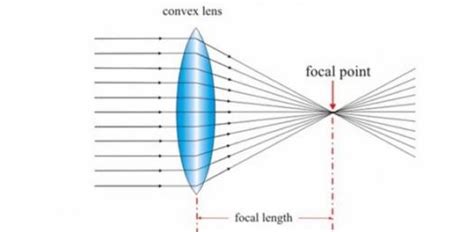 Sometimes they are just called `positive' and `negative'. Quiz: What Do You Know About Thin Converging Lens? Trivia ...