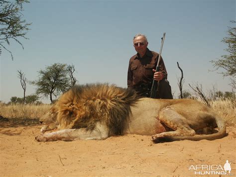 Lions In Africa Hunting