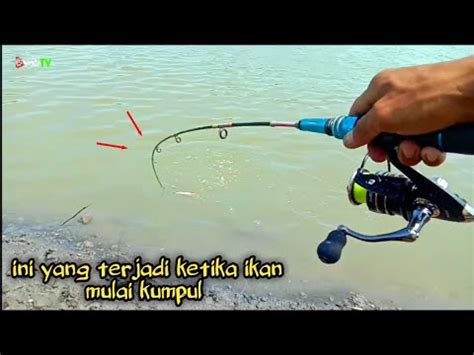 Kenapa Gak Dari Kemarin Saya Mancing Di Sini Ikan Kelaparan Mancing