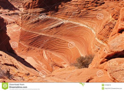 Paria Canyon Vermilion Cliffs Wilderness Arizona Usa Stock Image