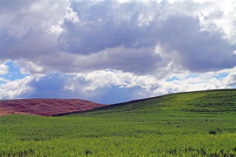 Rolling Farm Fields With Clouds Stock Photo Image Of Rural Hills