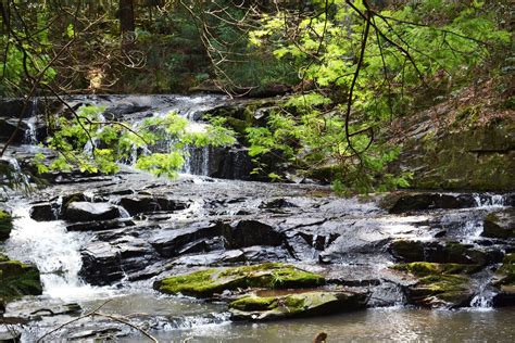 無料画像 自然 森林 滝 クリーク 荒野 川 ストリーム 秋 迅速な 水域 雨林 Wasserfall 水の特徴