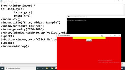 11 Entry Widget In Python Youtube