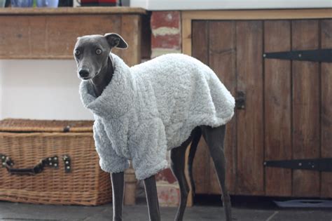 grey fluffy fleece jumper whippet greyhound italian sighthound