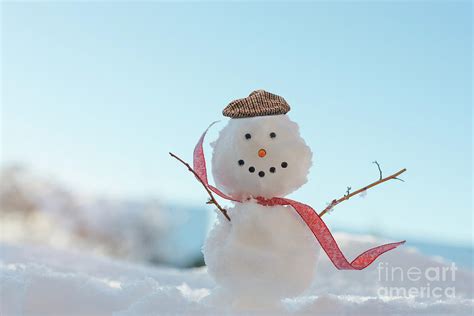 Happy Smiling Snowman Photograph By Amanda Elwell
