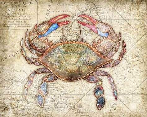 Crab Coastal Art Print Titled Blue Crab 3 Signed By Dan Morris Wall
