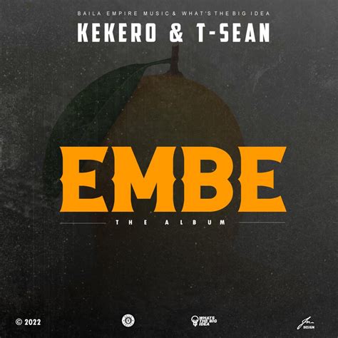 T Sean And Kekero Embe Full Album Afrofire