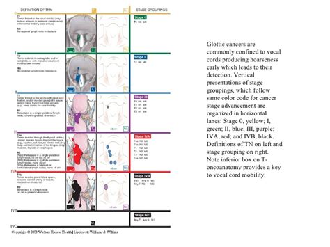 Early stage head and neck cancers are highly curable with either surgery or radiation therapy. nasopharyngeal - Bing images