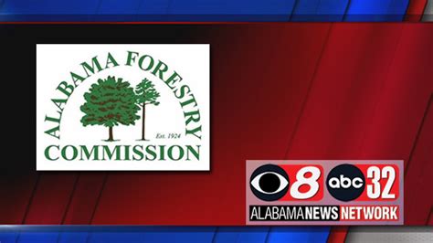 Alabama Forestry Commission Worker From Deatsville Killed In Tower