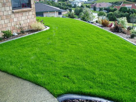Types Of Lawn Grass Victoria The Best Types Of Grass For Melbourne