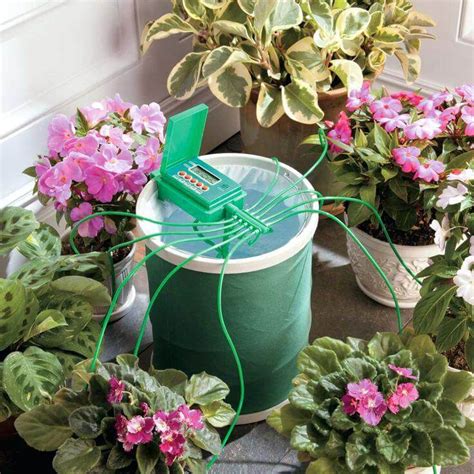 The Best Indoor Plant Watering System Succulents Network