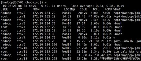 Linux查看登录ip以及所做操作linux查询ip历史操作 Csdn博客