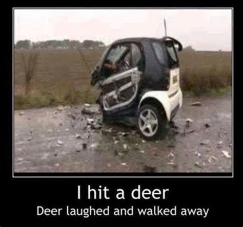 Funny Car Crashes With Quotes Quotesgram