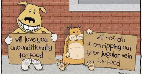 Mystery Fanfare Cartoon Of The Day Dogs And Cats