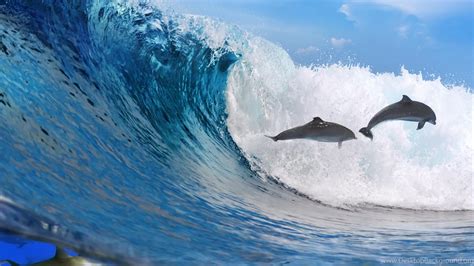 Download Wallpapers 3840x2160 Dolphins Ocean Wave Freedom 4k