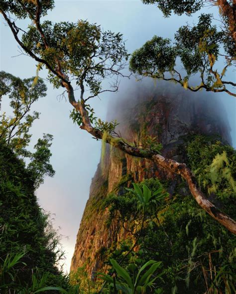 If you assume that you understand why you think and act the way you do, you're probably wrong. Mind blowing | Mind blown, Outdoor, Water