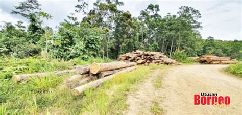 Bill of lading records in 2012 and 2014. JPS tahan 1,700 batang kayu balak di Long Mio | Utusan ...