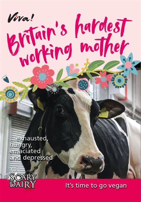 Britains Hardest Working Mother Leaflets X 50 Ts For Life Viva