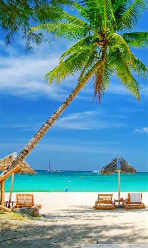 Tropical Paradise Beach Ultra Hd Desktop Background